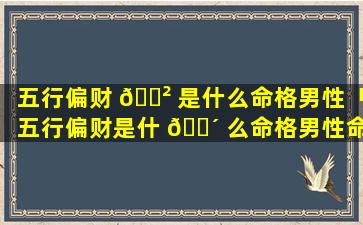 五行偏财 🌲 是什么命格男性「五行偏财是什 🐴 么命格男性命运」